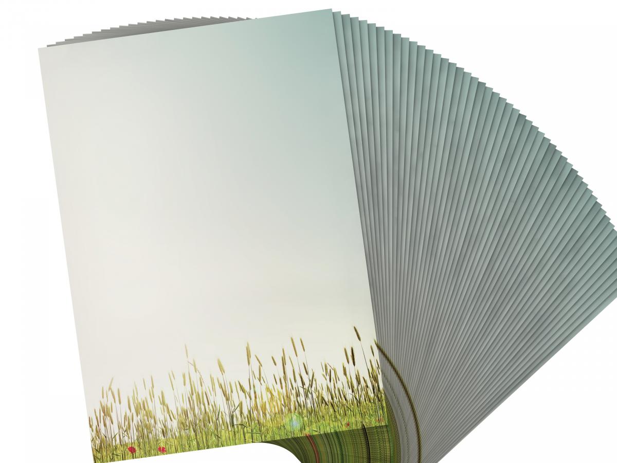 Spring Flowers Stationery  Writing paper